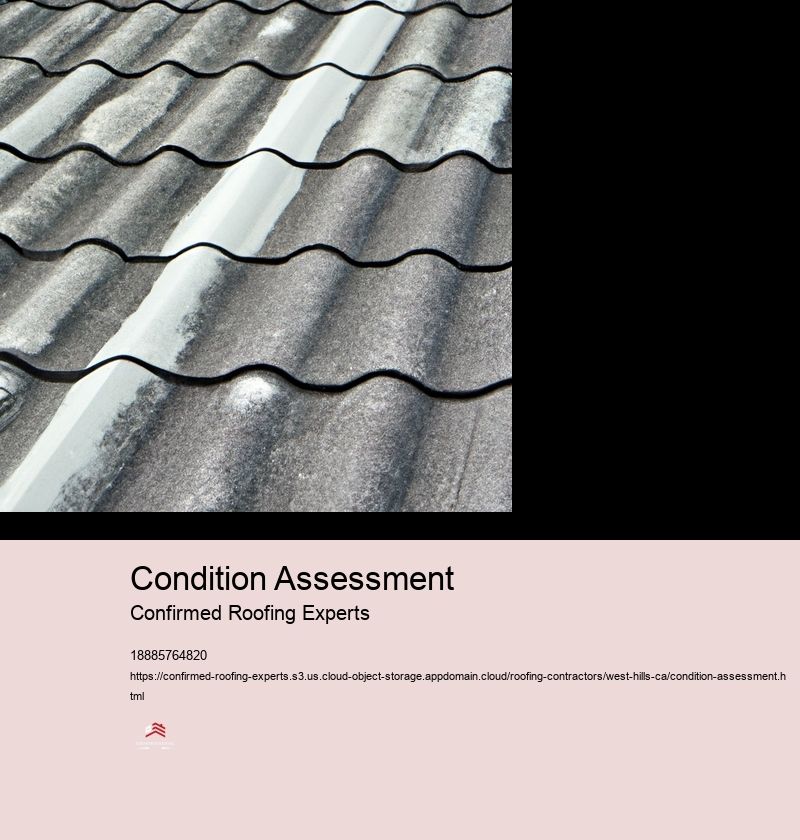 Condition Assessment