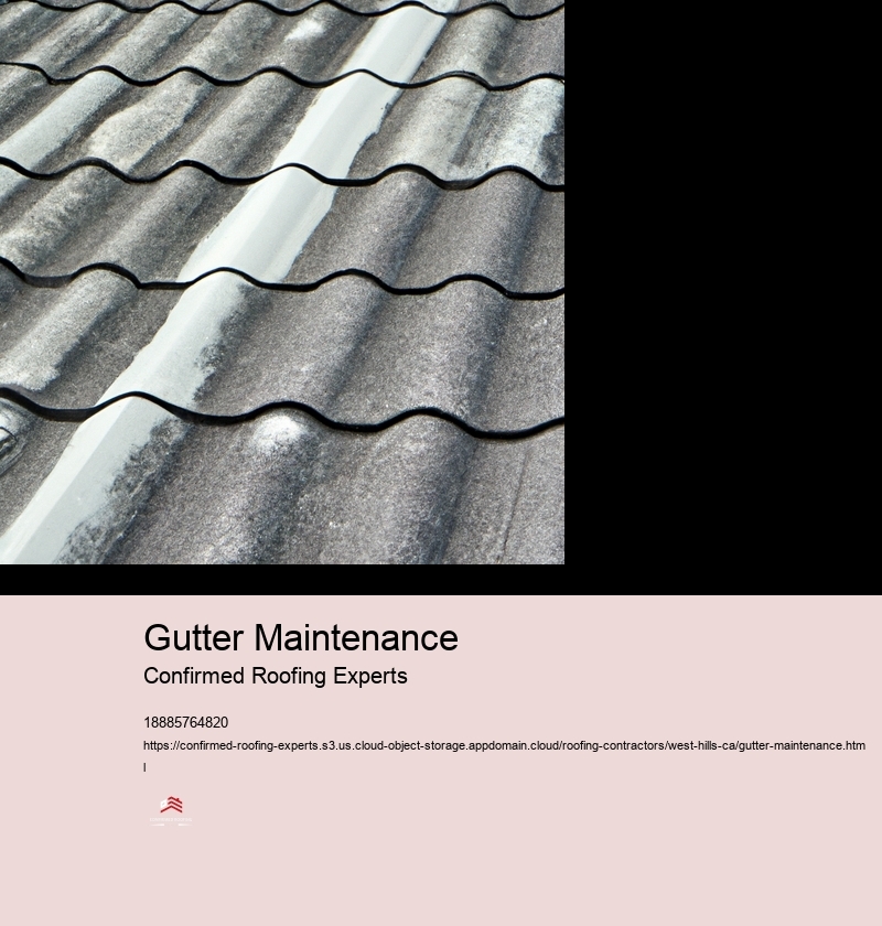 Gutter Maintenance
