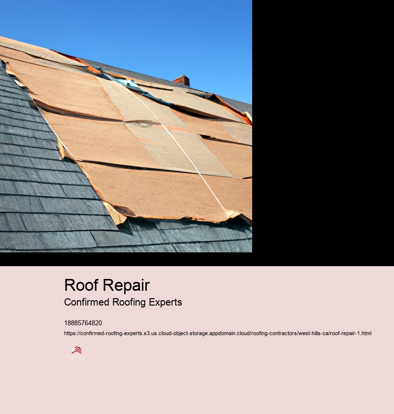 Roof Repair
