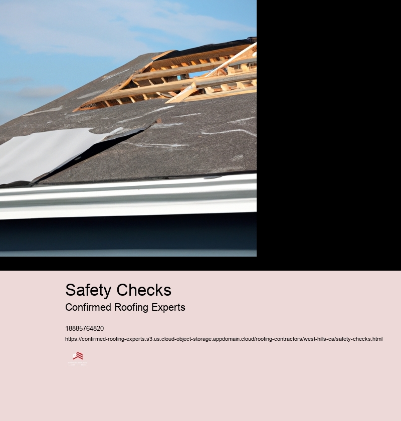 Safety Checks
